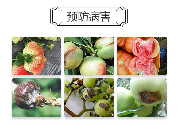 超能鈣-生沃土-新博農業(yè)_03